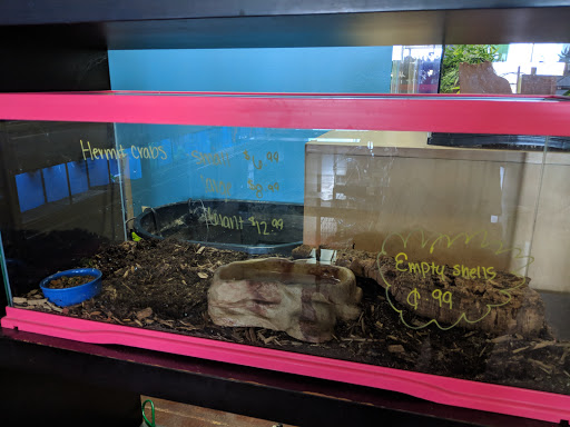 Pet Store «Wildside Pets», reviews and photos, 1042 N Higley Rd #105, Mesa, AZ 85205, USA