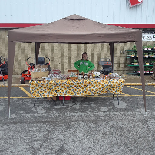 Home Improvement Store «Tractor Supply Co.», reviews and photos, 6015 S Transit Rd, Lockport, NY 14094, USA