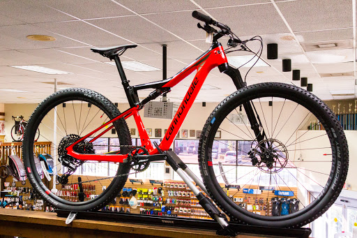 Bicycle Store «UBC - University Bicycle Center», reviews and photos, 1220 E Fletcher Ave, Tampa, FL 33612, USA