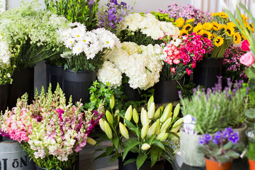Florist «Post Road Flowers», reviews and photos, 310 Boston Post Rd, Wayland, MA 01778, USA