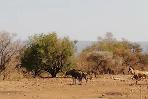 Waterberg image