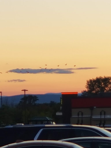 Department Store «HomeGoods», reviews and photos, 664 New Loudon Rd, Latham, NY 12110, USA