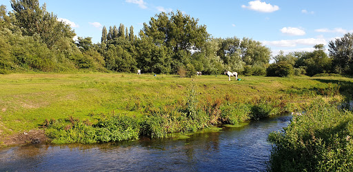 Ford Brook