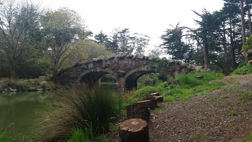 Park «Huntington Falls», reviews and photos, 50 Stow Lake Dr, San Francisco, CA 94118, USA