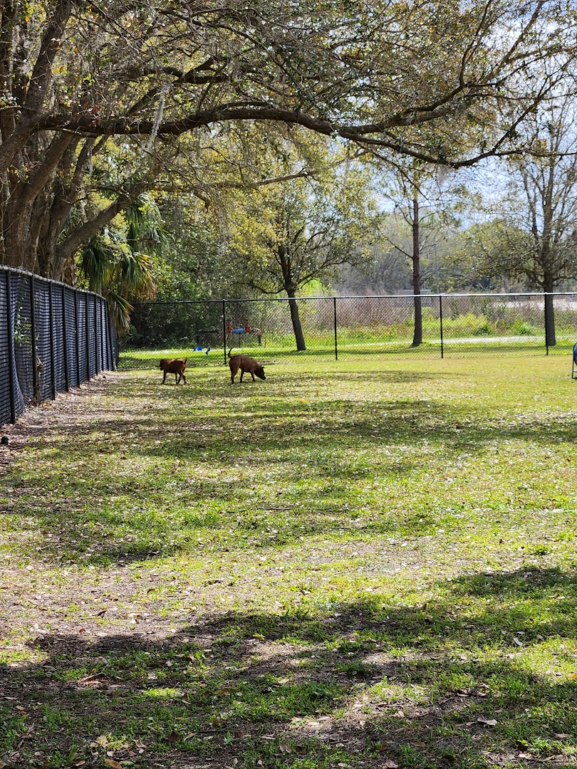 Auburndale Dog Park