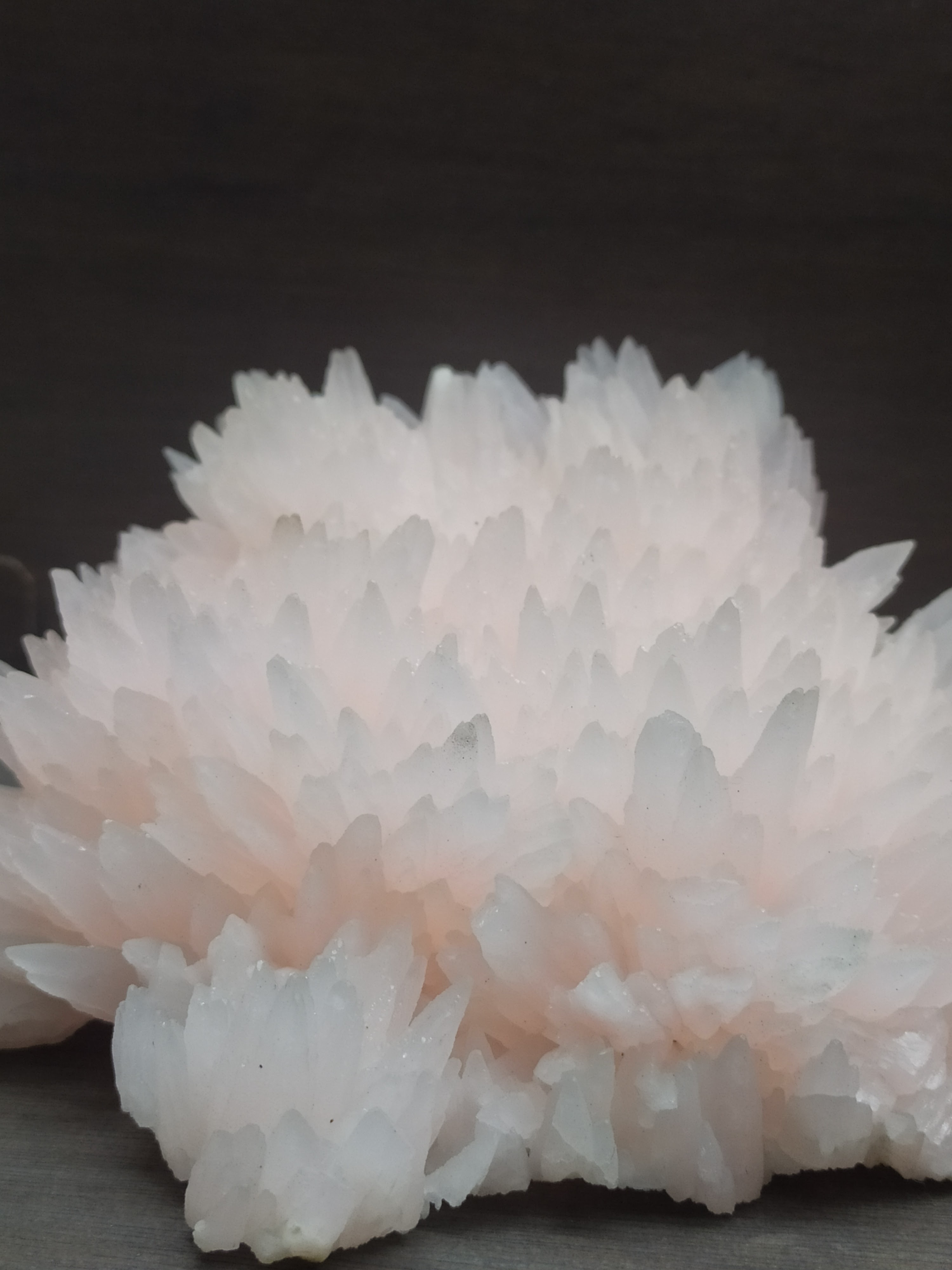 Photo n° 10 de l'avis de Céline.r fait le 20/02/2020 à 17:52