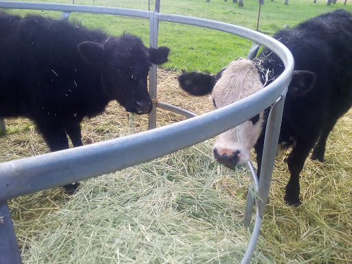 Ray Bradley's Feed Store