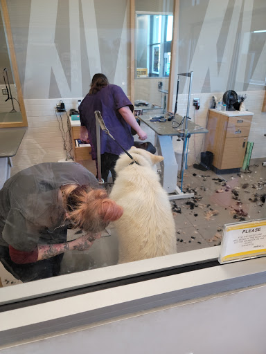 Pet Supply Store «Petco Animal Supplies», reviews and photos, 2687 Countryside Dr, Turlock, CA 95380, USA