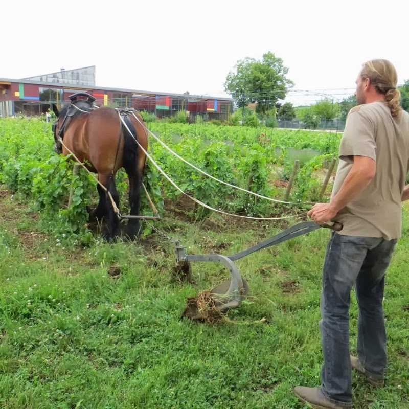 La Viti de Beaune - Beaune Viti Agro Campus