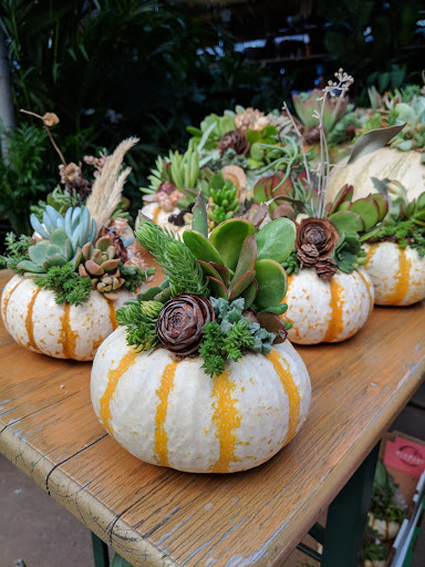 Garden Center «Ladera Garden & Gifts», reviews and photos, 3130 Alpine Rd #380, Portola Valley, CA 94028, USA