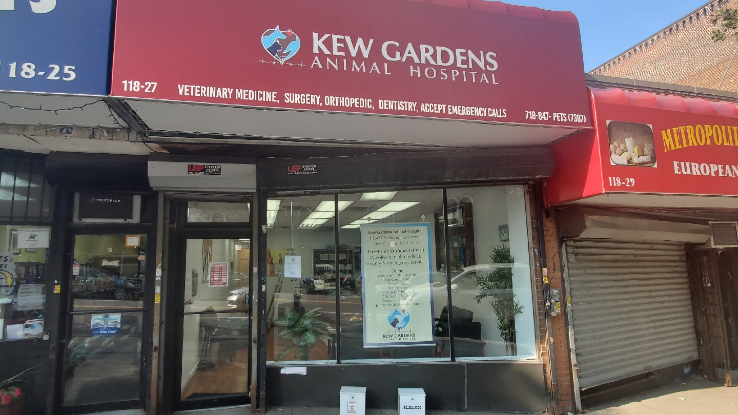 Kew Gardens Animal Hospital