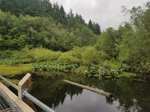 Nature Preserve «Tacoma Nature Center», reviews and photos, 1919 S Tyler St, Tacoma, WA 98405, USA