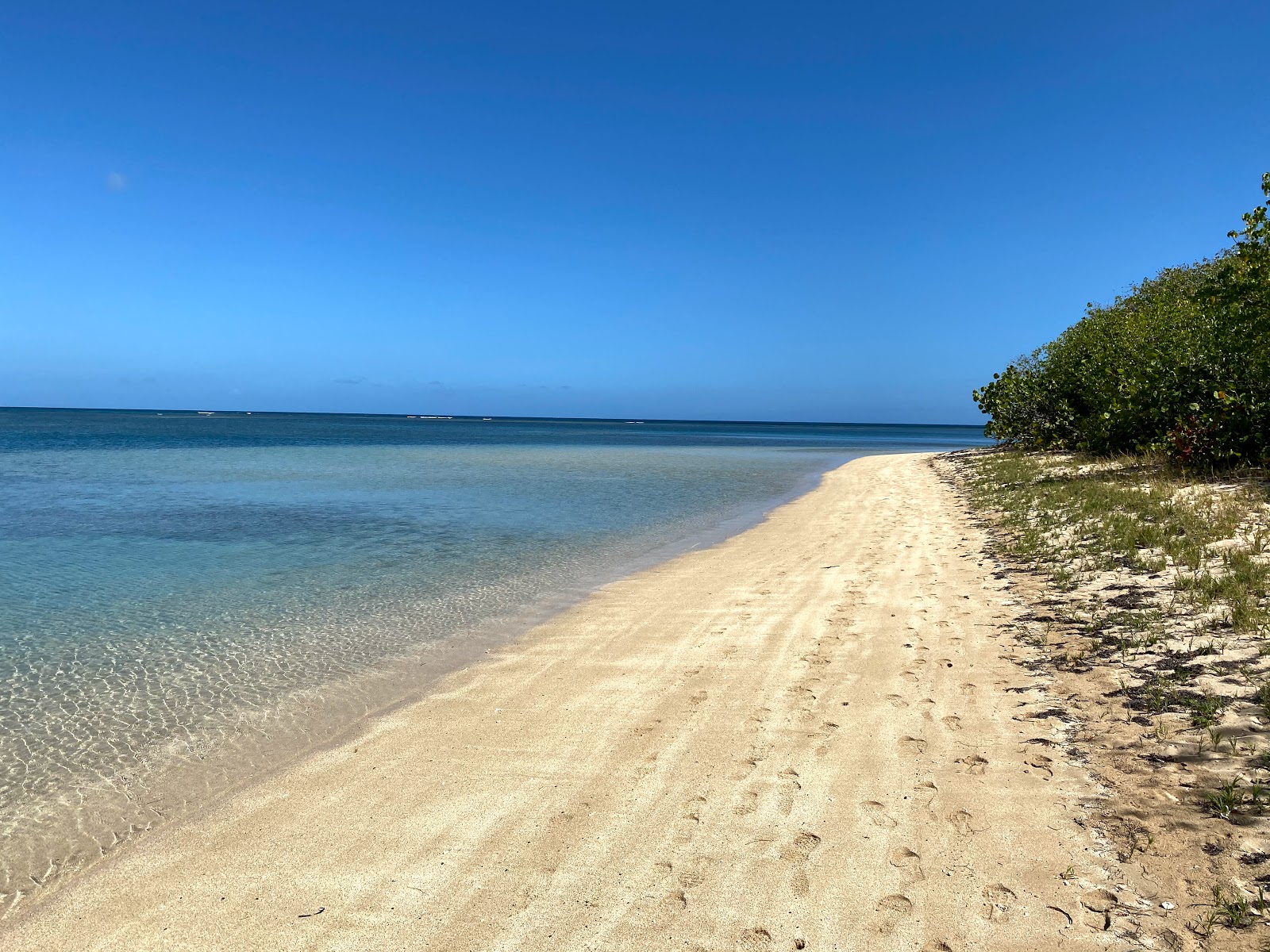 Foto de Playa La Pocita de Mimosa com areia brilhante superfície