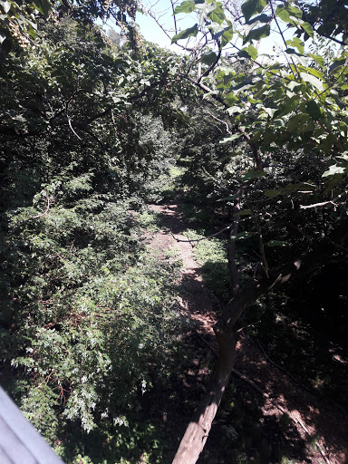 Park «Holcombe Rucker Park», reviews and photos, 280 W 155th St, New York, NY 10039, USA