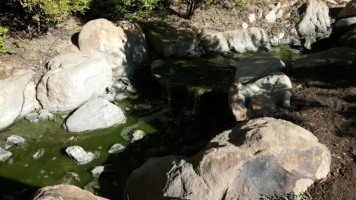 Park «Margaret T. Hance Park», reviews and photos, 67 W Culver St, Phoenix, AZ 85003, USA