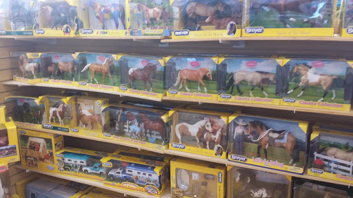 Toy Store «Toy Werks», reviews and photos, 923 N Loop 1604 E, San Antonio, TX 78232, USA