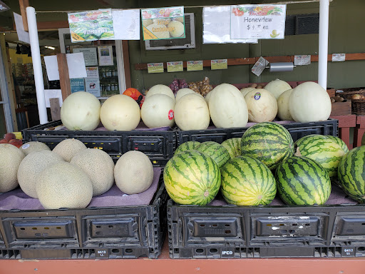 Produce Market «Ikedas Markets», reviews and photos, 26295 Mace Blvd, Davis, CA 95618, USA