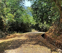 RM. NUSANTARA photo