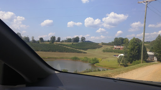 Vineyard «Three Sisters Vineyards & Winery», reviews and photos, 439 Vineyard Way, Dahlonega, GA 30533, USA