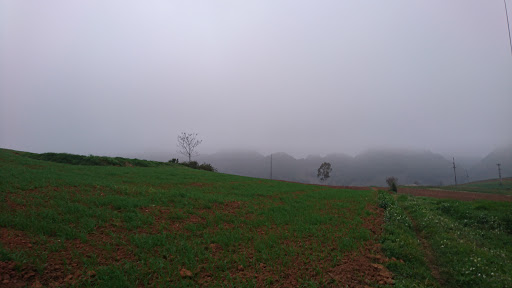 Top 17 cửa hàng brother Huyện Mộc Châu Sơn La 2022