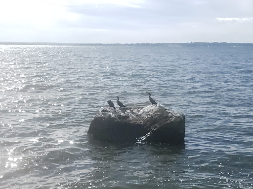 State Park «Colt State Park», reviews and photos, Route 114, Bristol, RI 02809, USA