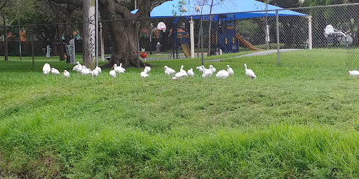 Park «Bicentennial Park», reviews and photos, 7300 Farragut St, Hollywood, FL 33024, USA