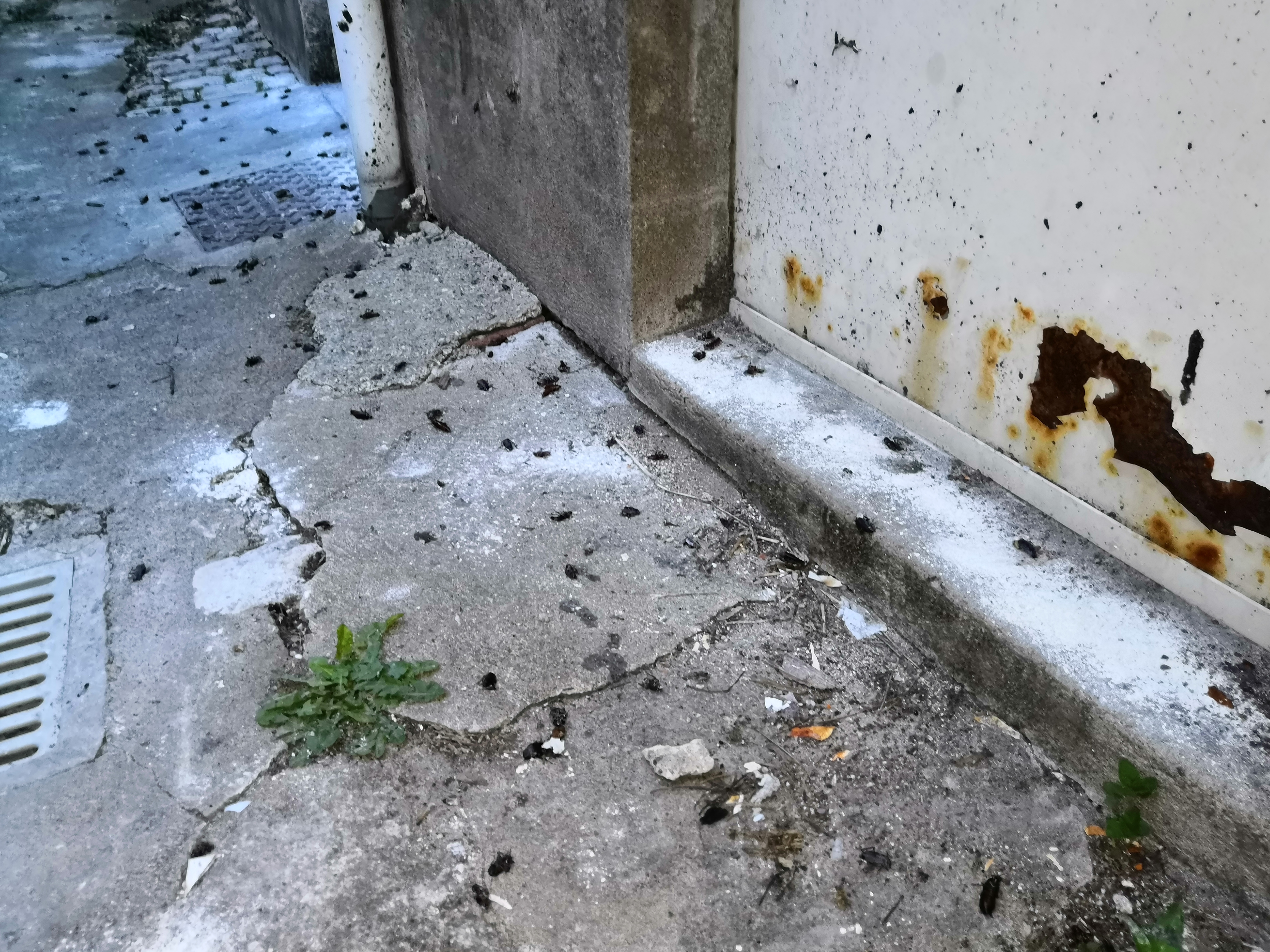 Photo n° 3 de l'avis de V. fait le 09/07/2019 à 04:11