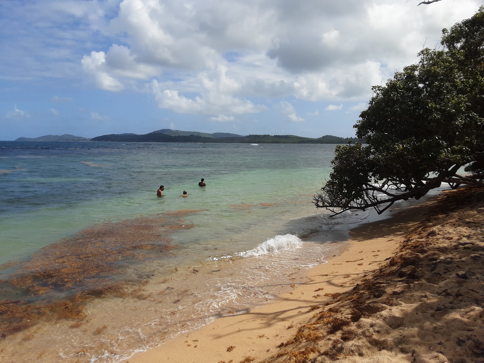 Photo de Plage de Trinité avec plage spacieuse