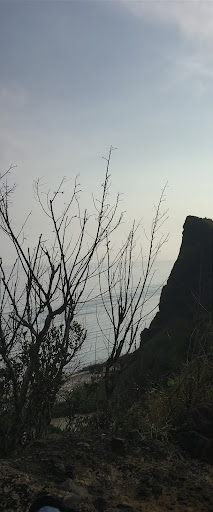 Top 20 cửa hàng akemi Huyện Lý Sơn Quảng Ngãi 2022