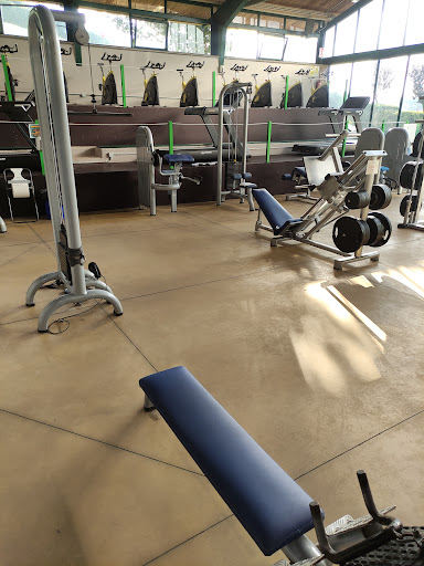 Gimnasio 