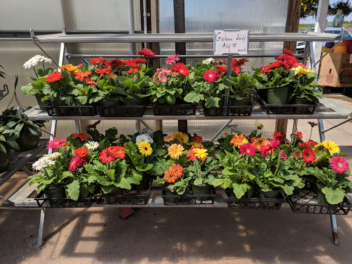 Produce Market «Miller Farms», reviews and photos, 10140 Piscataway Rd, Clinton, MD 20735, USA