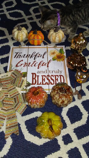 Dollar Store «Dollar Tree», reviews and photos, 201 Wooster Road North, Barberton, OH 44203, USA