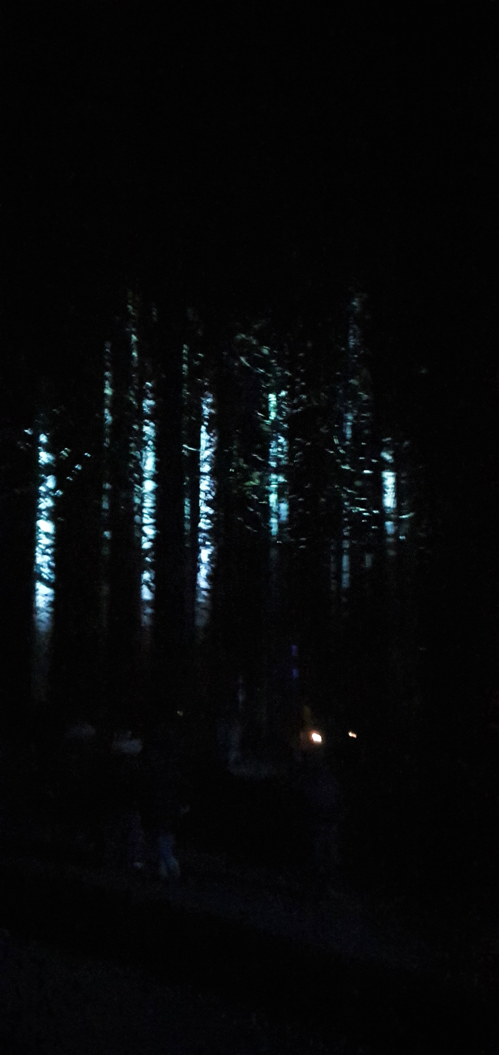 Photo n° 7 de l'avis de Hélène.. fait le 24/10/2020 à 19:10