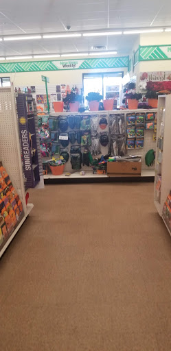 Dollar Store «Dollar Tree», reviews and photos, 912 River St Ste 100, Hyde Park, MA 02136, USA