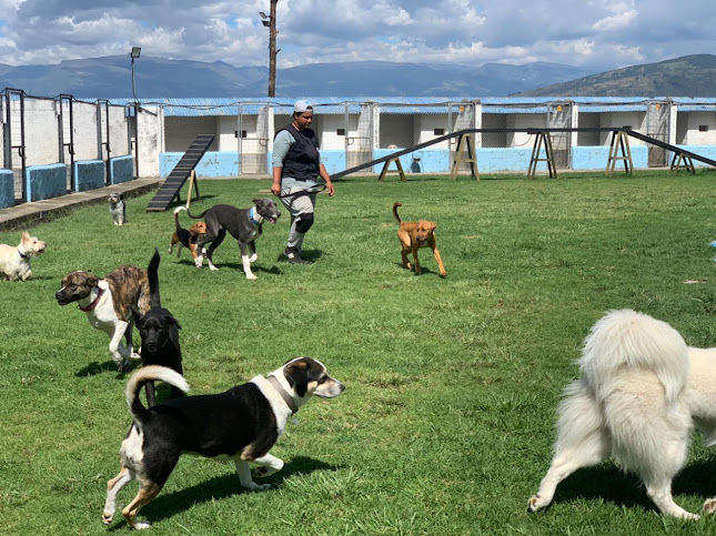 Centro de Adiestramiento Canino y Guardería EDUCAPETS - Quito