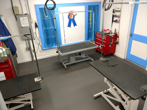 Pet Groomer «Blue Ribbon Dog Grooming LLC Anderson», reviews and photos, 5038 S Scatterfield Rd, Anderson, IN 46013, USA