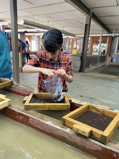 Tourist Attraction «Consolidated Gold Mine», reviews and photos, 185 Consolidated Gold Mine Rd, Dahlonega, GA 30533, USA
