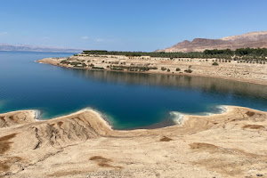 Dead sea free swimming image