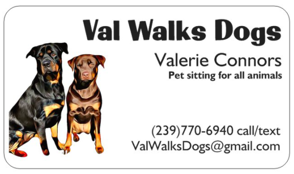 Essential Petcare FKA Val Walks Dogs