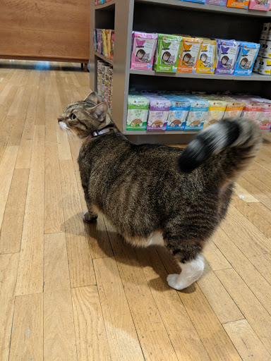 Pet Supply Store «PS9 Pets», reviews and photos, 169 N 9th St, Brooklyn, NY 11211, USA