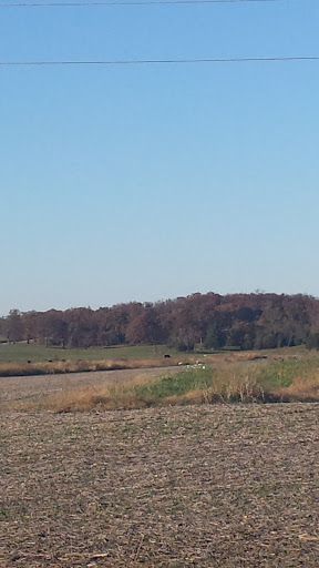 Department Store «Walmart Supercenter», reviews and photos, 150 Commerce Drive, Fairfield, IL 62837, USA