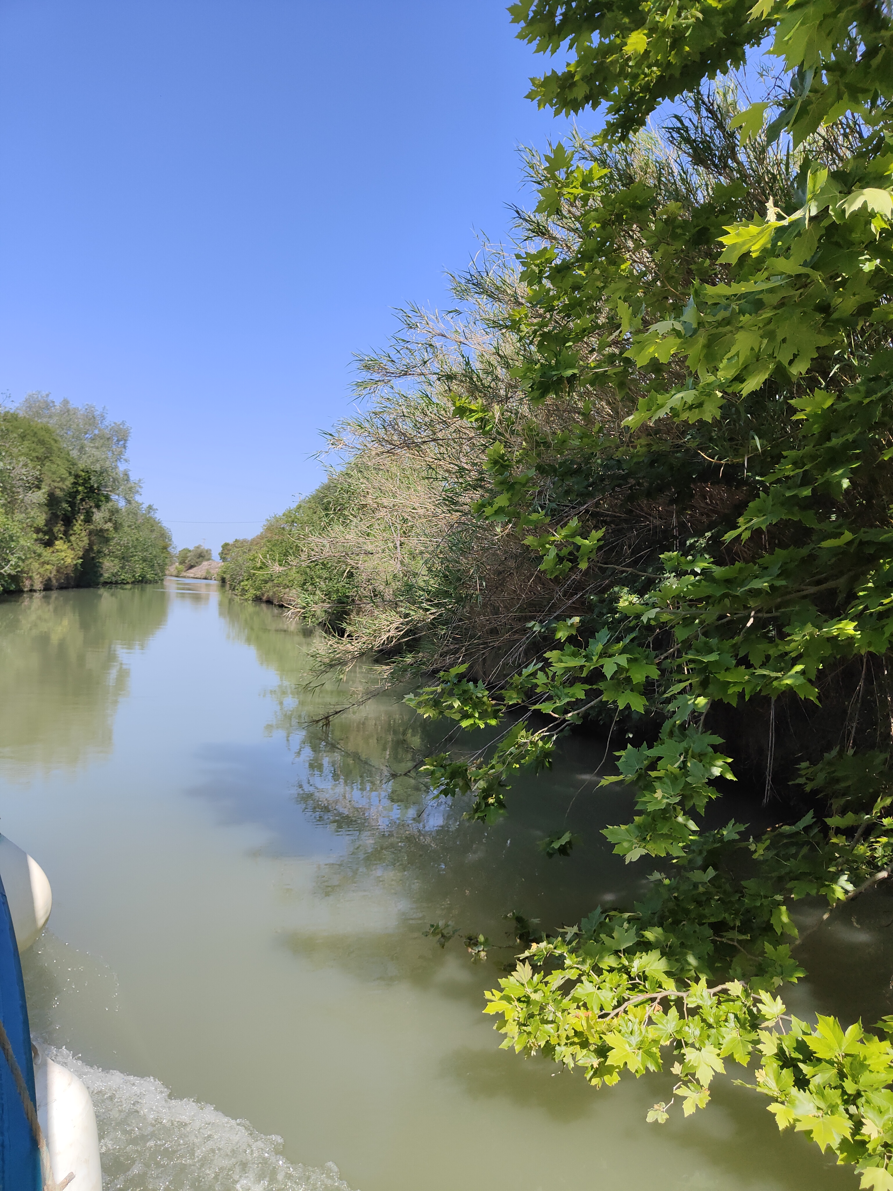 Photo n° 12 de l'avis de Eric.A fait le 27/05/2023 à 14:53