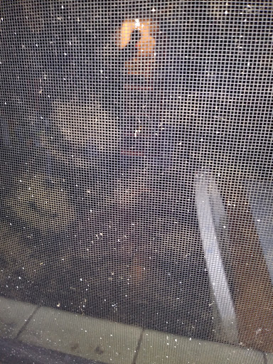 Hardware Store «Vision Ace Hardware», reviews and photos, 8538 Gunn Hwy #10, Odessa, FL 33556, USA