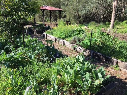 Murdoch Community Garden