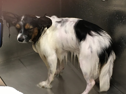 Pet Supply Store «Lemos Feed & Pet Supply», reviews and photos, 1320 Main St, Morro Bay, CA 93442, USA