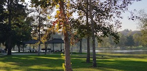El Rodeo Equestrian Center - photo 29