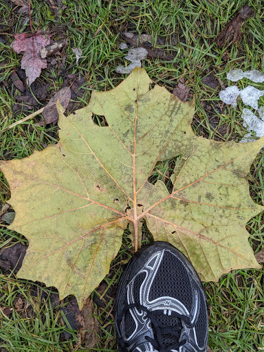 Nature Preserve «Kishwauketoe Nature Conservancy», reviews and photos, 251 Elkhorn Rd, Williams Bay, WI 53191, USA