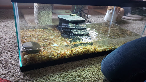 Pet Supply Store «Petco Animal Supplies», reviews and photos, 753 53rd Ave NE, Fridley, MN 55421, USA