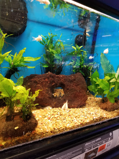 Pet Supply Store «Petco Animal Supplies», reviews and photos, 10383 Reisterstown Rd, Owings Mills, MD 21117, USA