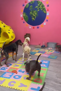 The Pawhouse Estate - Photo 6 - Car repair in Pasadena, CA, Pasadena